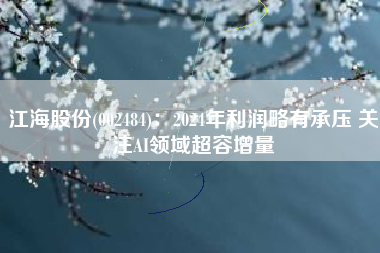 江海股份(002484)：2024年利润略有承压 关注AI领域超容增量
