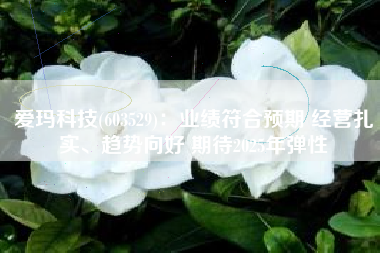 爱玛科技(603529)：业绩符合预期 经营扎实、趋势向好 期待2025年弹性