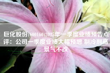 巨化股份(600160)2025年一季度业绩预告点评：公司一季度业绩大幅预增 制冷剂高景气不改