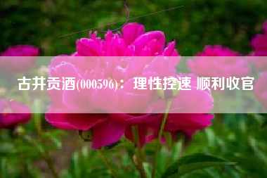 古井贡酒(000596)：理性控速 顺利收官