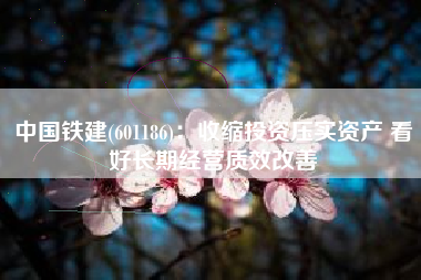 中国铁建(601186)：收缩投资压实资产 看好长期经营质效改善
