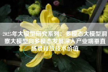 2025年大模型研究系列：多模态大模型洞察大模型向多模态发展深入产业端垂直场景释放技术价值