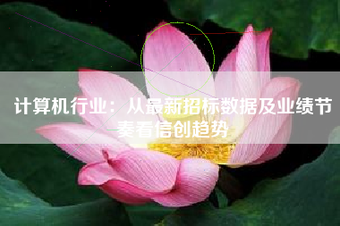 计算机行业：从最新招标数据及业绩节奏看信创趋势