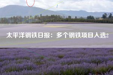 太平洋钢铁日报：多个钢铁项目入选2