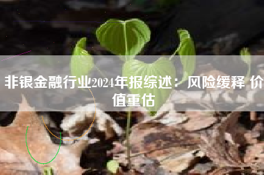 非银金融行业2024年报综述：风险缓释 价值重估