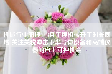 机械行业周报：3月工程机械开工时长同增 关注关税冲击下半导体设备和高端仪器的自主可控机会