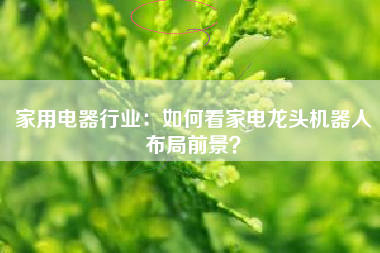 家用电器行业：如何看家电龙头机器人布局前景？