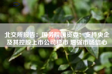 北交所报告：国务院国资委：支持央企及其控股上市公司稳市 增强市场信心