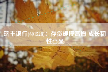 瑞丰银行(601528)：存贷规模高增 成长韧性凸显