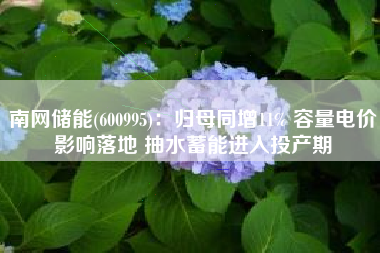 南网储能(600995)：归母同增11% 容量电价影响落地 抽水蓄能进入投产期