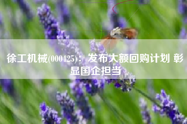 徐工机械(000425)：发布大额回购计划 彰显国企担当