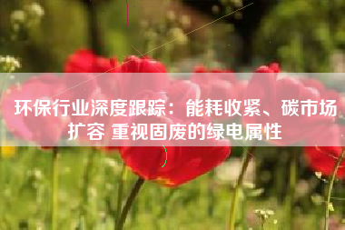 环保行业深度跟踪：能耗收紧、碳市场扩容 重视固废的绿电属性