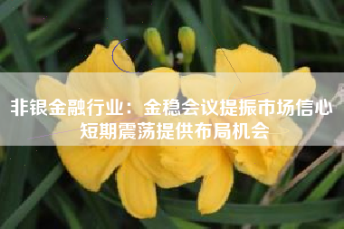 非银金融行业：金稳会议提振市场信心 短期震荡提供布局机会