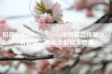 招商轮船(601872)：24Q4净利润超预期 VLCC有超额、集运贡献较大增量