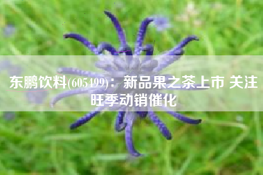 东鹏饮料(605499)：新品果之茶上市 关注旺季动销催化