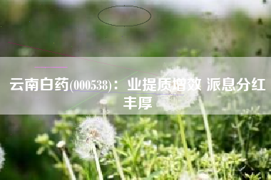 云南白药(000538)：业提质增效 派息分红丰厚