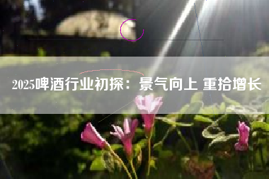 2025啤酒行业初探：景气向上 重拾增长
