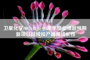 卫星化学(002648)：Q4单季度业绩超预期 新项目陆续投产确保成长性