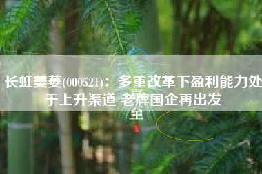 长虹美菱(000521)：多重改革下盈利能力处于上升渠道 老牌国企再出发