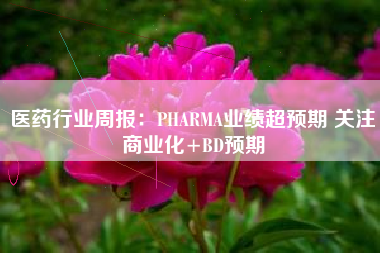 医药行业周报：PHARMA业绩超预期 关注商业化+BD预期