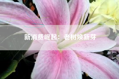 新消费崛起：老树焕新芽