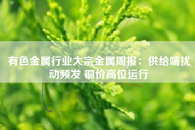有色金属行业大宗金属周报：供给端扰动频发 铜价高位运行