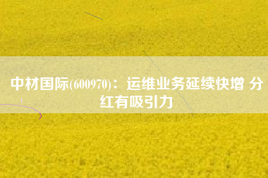 中材国际(600970)：运维业务延续快增 分红有吸引力