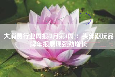 大消费行业周报(3月第4周)：头部潮玩品牌年报展现强劲增长