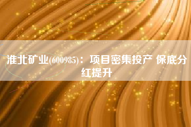 淮北矿业(600985)：项目密集投产 保底分红提升