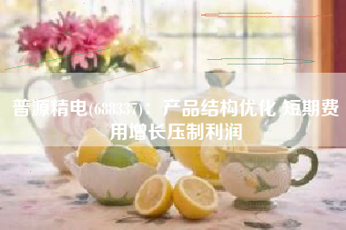 普源精电(688337)：产品结构优化 短期费用增长压制利润