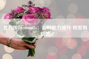北方国际(000065)：盈利能力提升 转型有成效