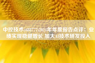 中控技术(688777)2024年年度报告点评：业绩实现稳健增长 加大AI技术研发投入
