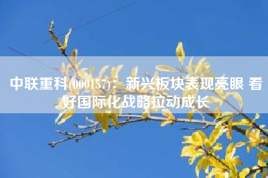 中联重科(000157)：新兴板块表现亮眼 看好国际化战略拉动成长