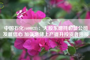 中国石化(600028)：大股东增持彰显公司发展信心 加强增储上产提升投资者回报