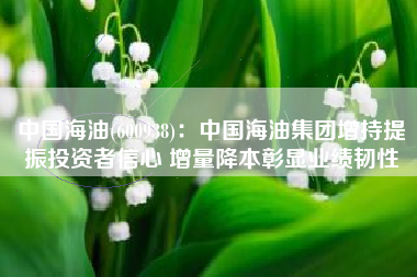 中国海油(600938)：中国海油集团增持提振投资者信心 增量降本彰显业绩韧性