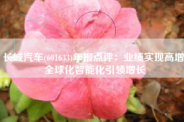 长城汽车(601633)年报点评：业绩实现高增 全球化智能化引领增长
