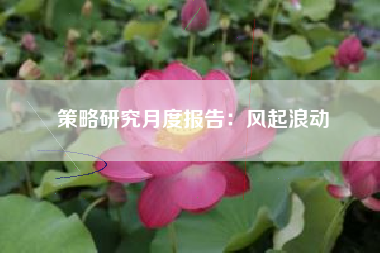 策略研究月度报告：风起浪动