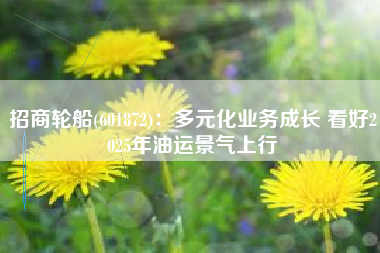 招商轮船(601872)：多元化业务成长 看好2025年油运景气上行