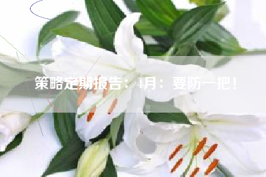 策略定期报告：4月：要防一把！