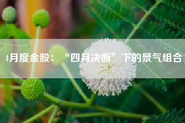 4月度金股：“四月决断”下的景气组合