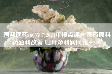 国邦医药(605507)2024年报点评：医药原料药盈利改善 归母净利润同比+28%