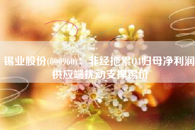 锡业股份(000960)：非经拖累Q4归母净利润 供应端扰动支撑锡价