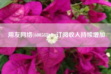 用友网络(600588)：订阅收入持续增加