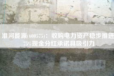 淮河能源(600575)：收购电力资产稳步推进 75%现金分红承诺具吸引力