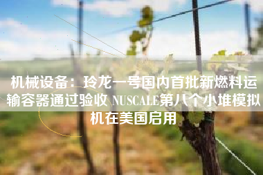 机械设备：玲龙一号国内首批新燃料运输容器通过验收 NUSCALE第八个小堆模拟机在美国启用