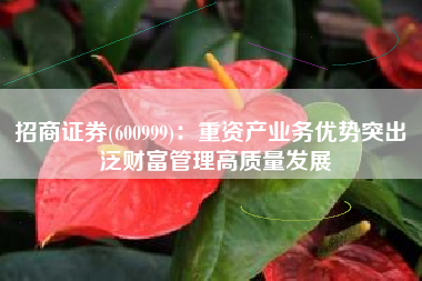 招商证券(600999)：重资产业务优势突出 泛财富管理高质量发展