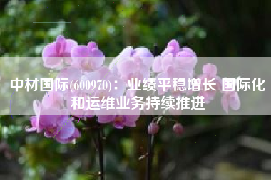 中材国际(600970)：业绩平稳增长 国际化和运维业务持续推进