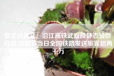 轨交设备Ⅱ：沿江高铁武宜段静态验收启动 清明节当日全国铁路发送旅客超两千万