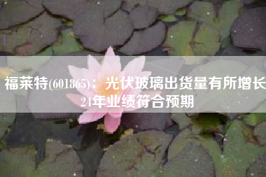 福莱特(601865)：光伏玻璃出货量有所增长 24年业绩符合预期