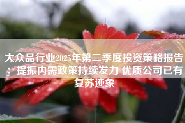 大众品行业2025年第二季度投资策略报告：提振内需政策持续发力 优质公司已有复苏迹象